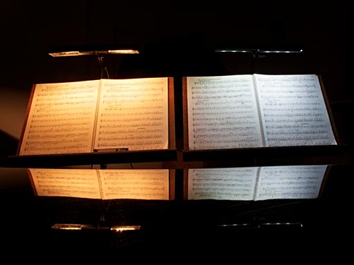 LED-Notenpultlampe auswechseln Glühlampen Dresden